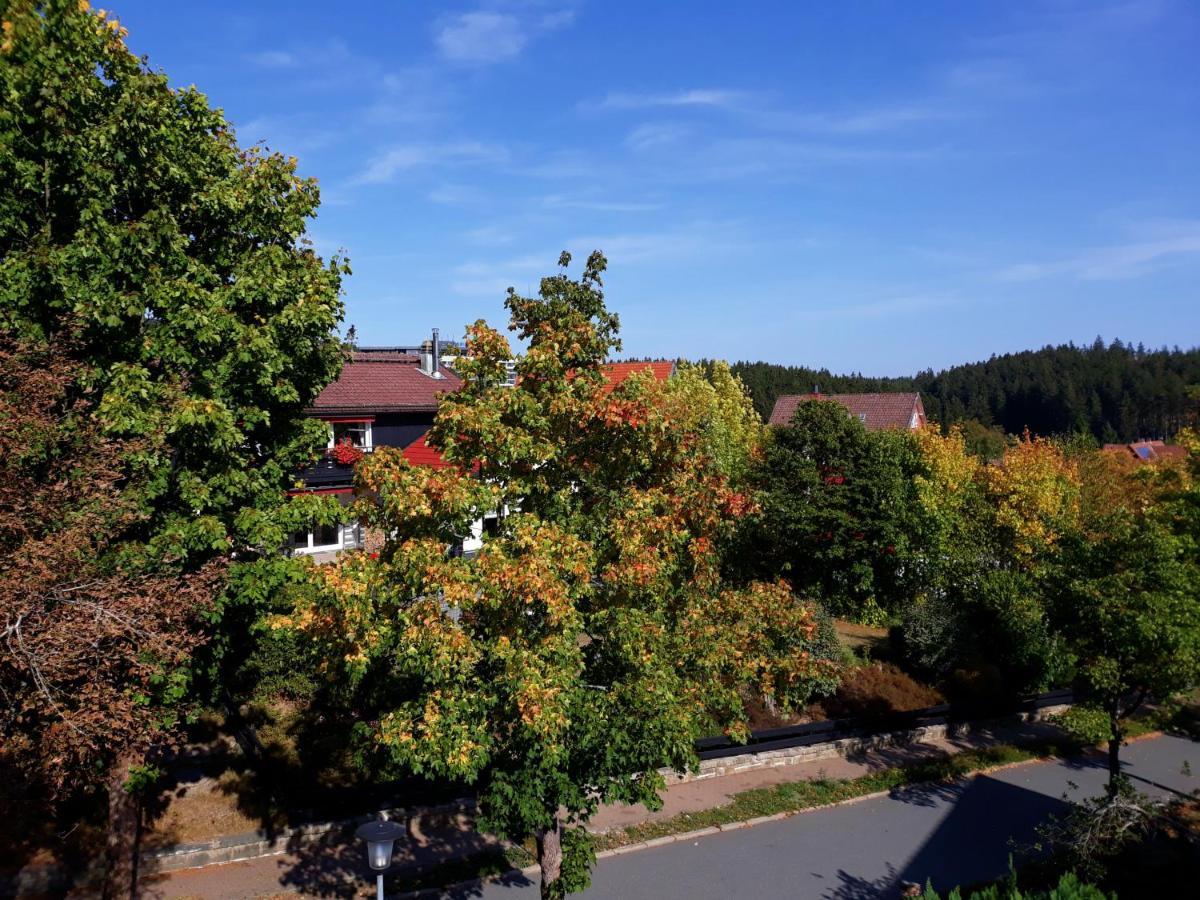 Hotel Garni Am Hochwald Braunlage Extérieur photo